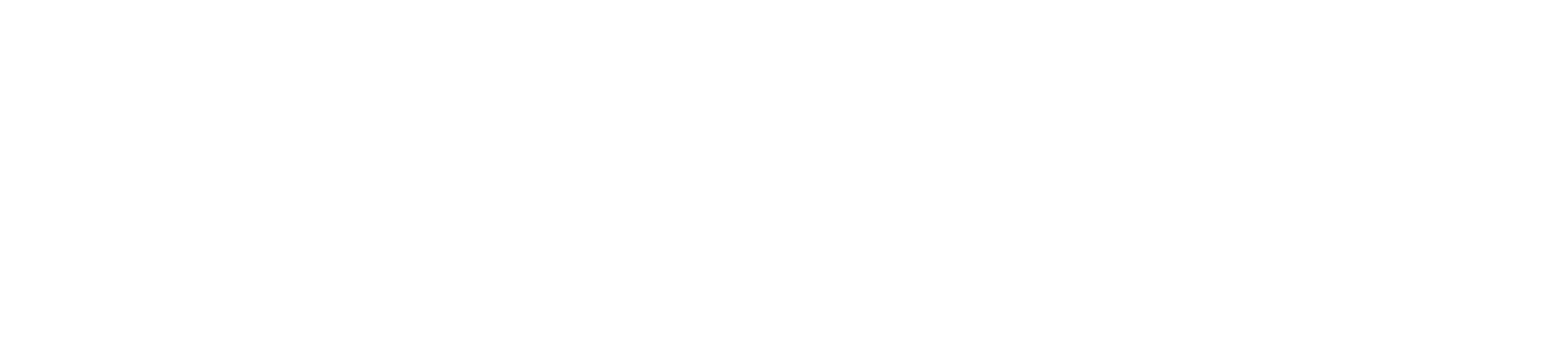 Ketogenic Foundation Logo